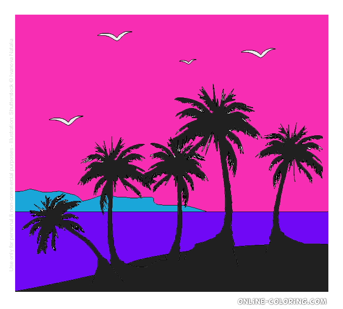 summer coloring contest [5 winners] 📜 Archive xat Forum